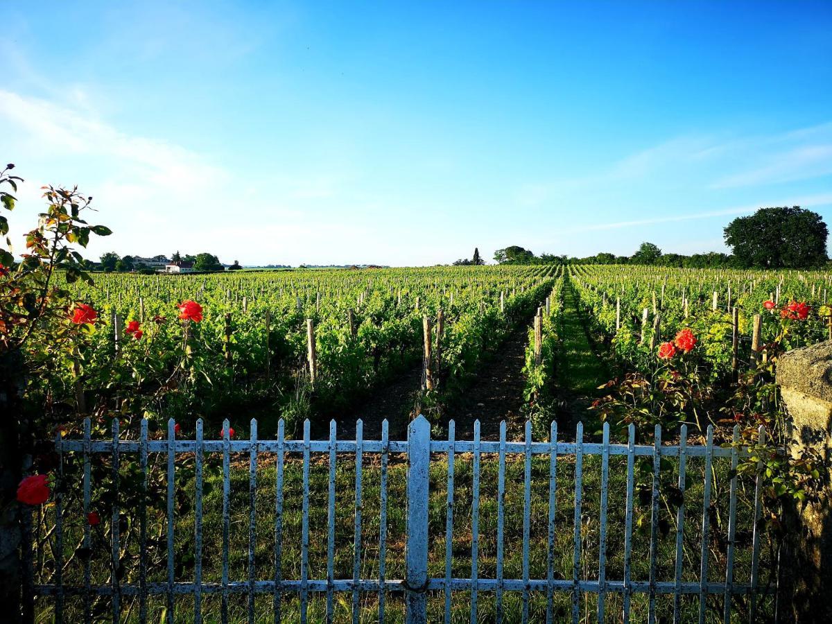 Apartament La Maison Des Vignes Saint Emilion Zewnętrze zdjęcie